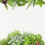 KITCHEN TOWEL DIGITAL PRINT 50*70CM SPICE GARDEN